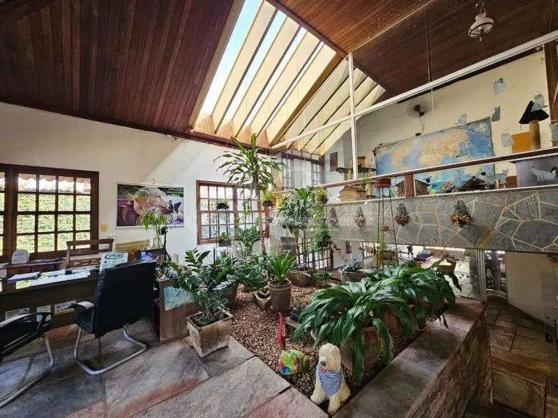 Foto 7