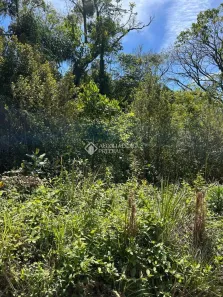 Lote/Terreno à venda, 427m² no , Nova Petrópolis