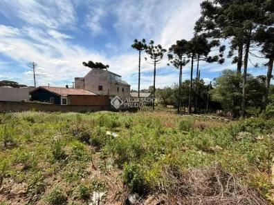 Lotes/Terrenos à venda em Fazenda Rio Grande, PR - Viva Real