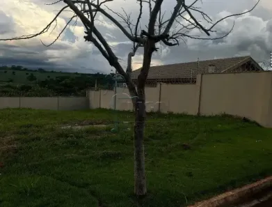 Lote/Terreno à venda, 291m² no Reserva San Pedro, Ribeirão Preto