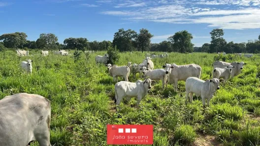 Fazenda/Sítio à venda, 5130000m² no Centro, Pirapora