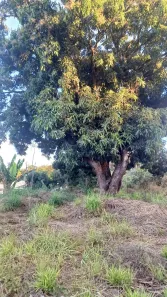 Lote/Terreno à venda, 1000m² no Córrego Frio, Santa Luzia
