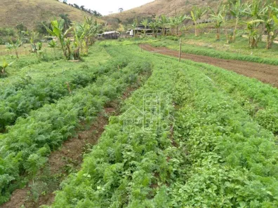 Fazenda/Sítio com 6 Quartos à venda, 600m² no Esplanada do Cruzeiro, Valença