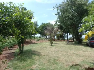 Fazenda/Sítio com 2 Quartos à venda, 80000m² no Jataizinho, Jataizinho