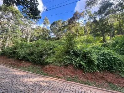 Lote/Terreno à venda, 1240m² no Corrêas, Petrópolis