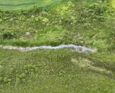 Fazenda/Sítio à venda, 427372m² no Área Rural de Itapetininga, Itapetininga
