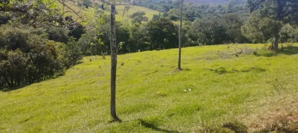 Fazenda/Sítio à venda, 90000m² no , Cláudio