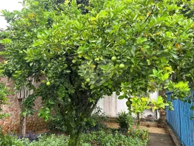 Casa com 3 Quartos à venda, 350m² no Bela Aliança, São Paulo