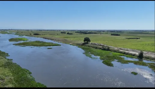Fazenda/Sítio com 2 Quartos à venda, 365880m² no São Sebastião de Campos, Campos dos Goytacazes