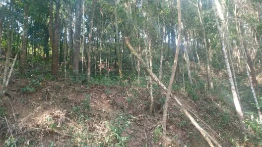 Lote/Terreno à venda, 3758m² no Caraguatá, Mairiporã