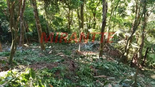 Lote/Terreno à venda, 683m² no Roseira, Mairiporã