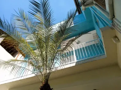 Casa com 3 Quartos para alugar, 156m² no Tijuca, Rio de Janeiro