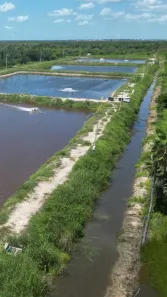 Fazenda/Sítio com 3 Quartos à venda, 500000m² no , Carnaubais