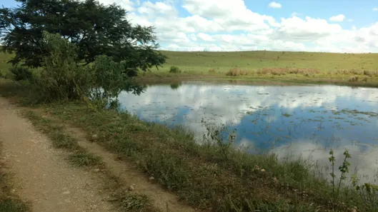 Lote/Terreno à venda, 20000m² no , Cordisburgo