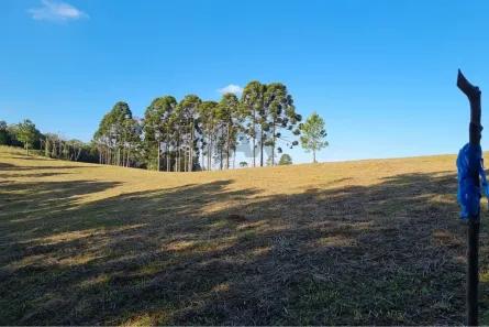 Lote/Terreno à venda, 20131m² no Centro, Tijucas do Sul