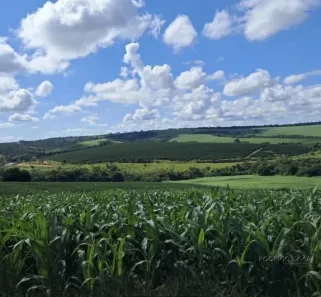 Fazenda/Sítio com 3 Quartos à venda, 70000000m² no , Cristais