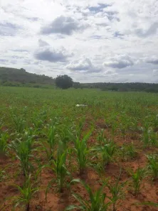 Fazenda/Sítio com 3 Quartos à venda, 27000m² no Centro, Nova Santa Rita