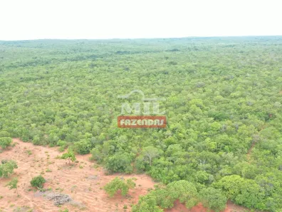 Fazenda/Sítio à venda, 500m² no , Natividade