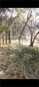 Lote/Terreno à venda, 10m² no Luiz Fagundes, Mairiporã