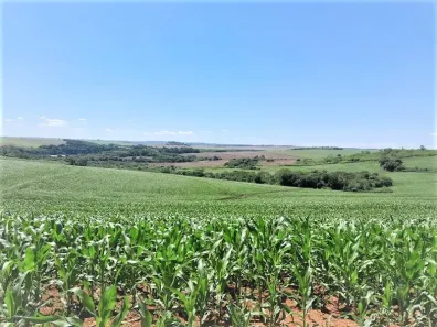 Fazenda/Sítio à venda, 871200m² no , Quinta do Sol