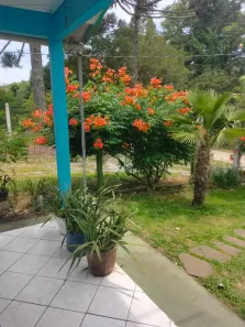 Casa com 2 Quartos à venda, 1653m² no Centro, São Francisco de Paula