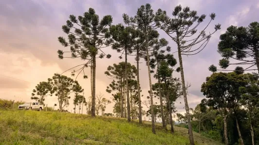 Lote/Terreno à venda, 23000m² no Águas Brancas, Urubici