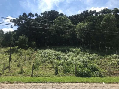 Lote/Terreno à venda, 767m² no Serrano, Canela
