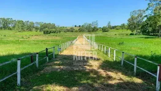 Fazenda/Sítio com 5 Quartos à venda, 2001m² no Reginópolis, Silva Jardim