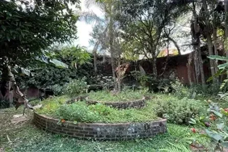 Lote/Terreno à venda, 460m² no Pinus Park, Cotia