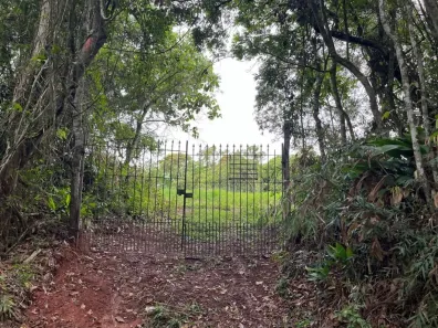 Lote/Terreno à venda, 10000m² no Taiaçupeba, Mogi das Cruzes