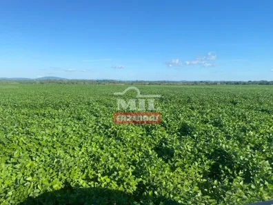 Fazenda/Sítio à venda, 1m² no , Talismã