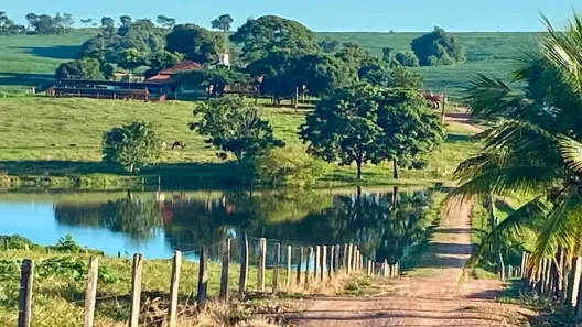 Fazenda/Sítio com 5 Quartos à venda, 2400000m² no , Indiara