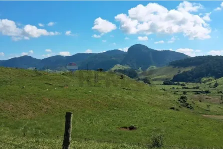 Fazenda/Sítio à venda, 1310000m² no Centro, Além Paraíba