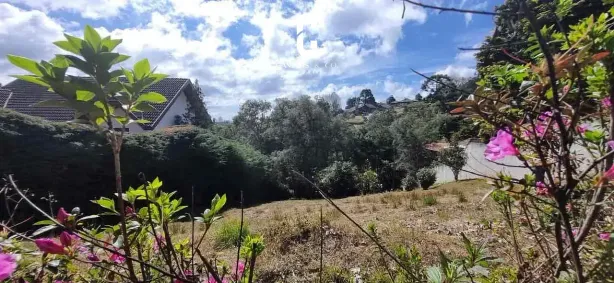 Lote/Terreno à venda, 1392m² no Manancial, Campos do Jordão