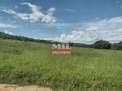 Fazenda/Sítio à venda, 500m² no Centro, Goianésia