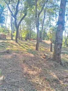 Fazenda/Sítio com 2 Quartos à venda, 130m² no Rosa dos Ventos, Aparecida de Goiânia