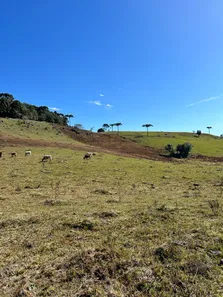 Fazenda/Sítio com 1 Quarto à venda, 20000m² no Vila Seca, Caxias do Sul