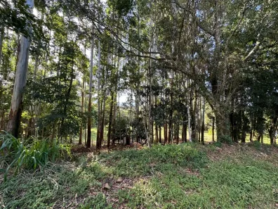 Fazenda/Sítio à venda, 8400m² no SERRA GRANDE, Gramado