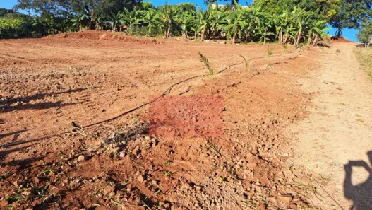 Fazenda/Sítio com 1 Quarto à venda, 1m² no Centro, Apucarana