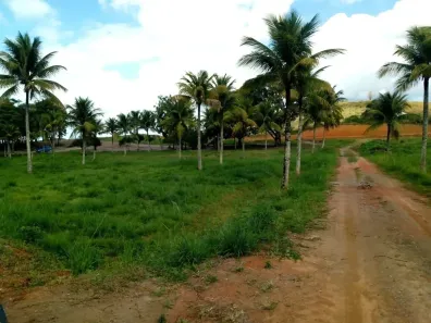 Lote/Terreno à venda, 1000m² no Sampaio Correia (Sampaio Correia), Saquarema
