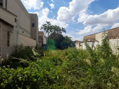Lote/Terreno à venda, 347m² no Jardim Irajá, Ribeirão Preto
