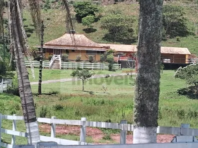 Fazenda/Sítio com 3 Quartos à venda, 24000m² no Bairro dos Macacos, Silveiras