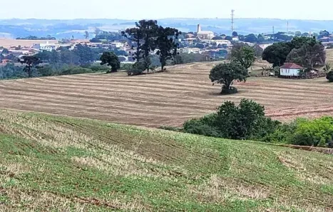 Fazenda/Sítio à venda, 1754500m² no , Rio Bom