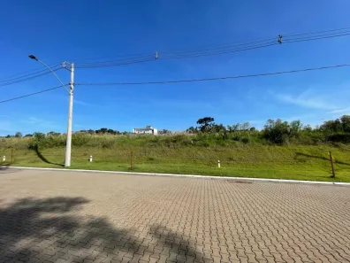 Lote/Terreno à venda, 570m² no Palmares, Ivoti