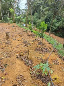 Fazenda/Sítio à venda, 20000m² no , Santa Teresa