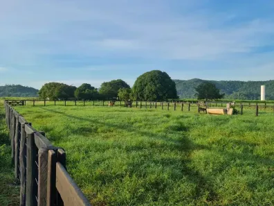 Fazenda/Sítio à venda, 400m² no Centro, Santa Terezinha