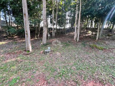 Lote/Terreno à venda, 657m² no Country, Santa Cruz do Sul