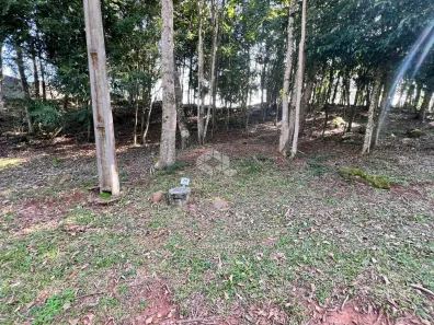 Lote/Terreno à venda, 657m² no Country, Santa Cruz do Sul