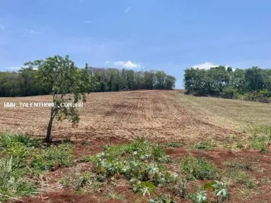 Lote/Terreno à venda, 192000m² no , Uraí