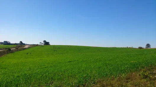 Fazenda/Sítio com 2 Quartos à venda, 629200m² no São Luiz do Purunã, Balsa Nova